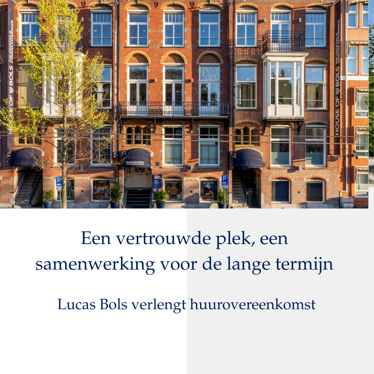 Bols canva